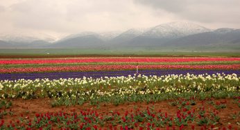 Karaman’da Ne Yenir, Nerede Yenir?