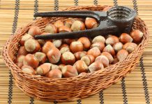 Ordu’da Ne Yenir, Nerede Yenir? Ordu Fındığı