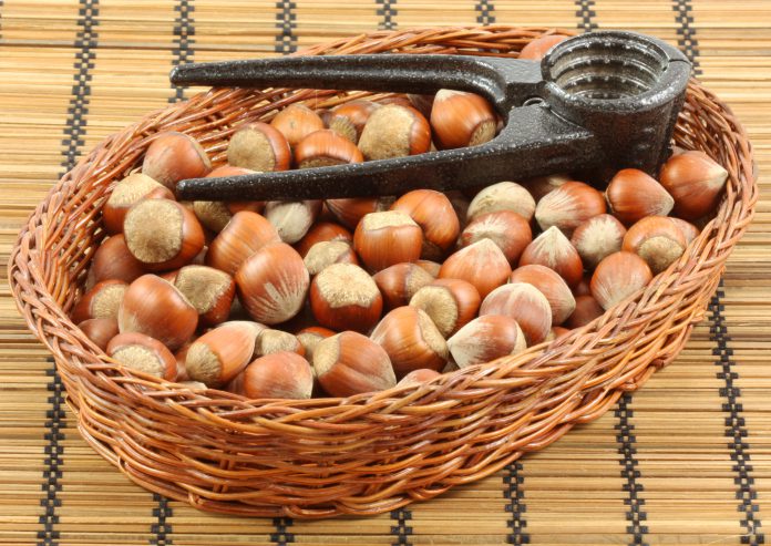 Ordu’da Ne Yenir, Nerede Yenir? Ordu Fındığı