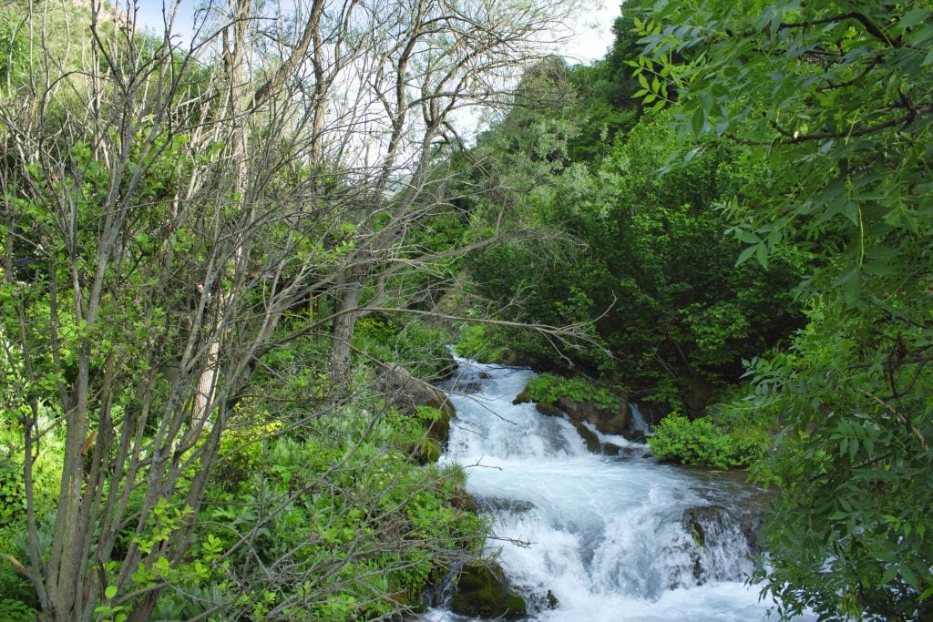 Tomara Şelalesi Tabiat Parkı, Gümüşhane