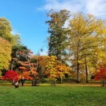 Westonbirt The National Arboretum (İngiltere)