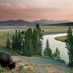 Yellowstone National Park (Amerika)