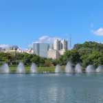 İbirapuera Parkı (Parque do Ibirapuera), Sao Paulo, Brezilya