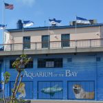 Aquarium of the Bay , San Francisco