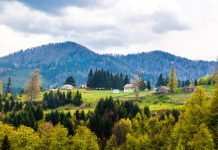 Türkiye’nin Sonradan İl Olan 18 İlçesi Düzce