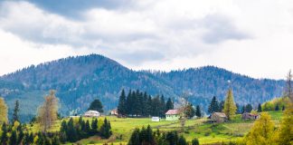 Türkiye’nin Sonradan İl Olan 18 İlçesi Düzce