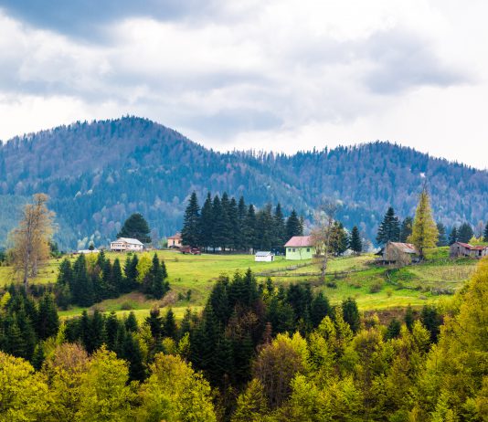 Düzce’de Gezilecek Yerler Düzce