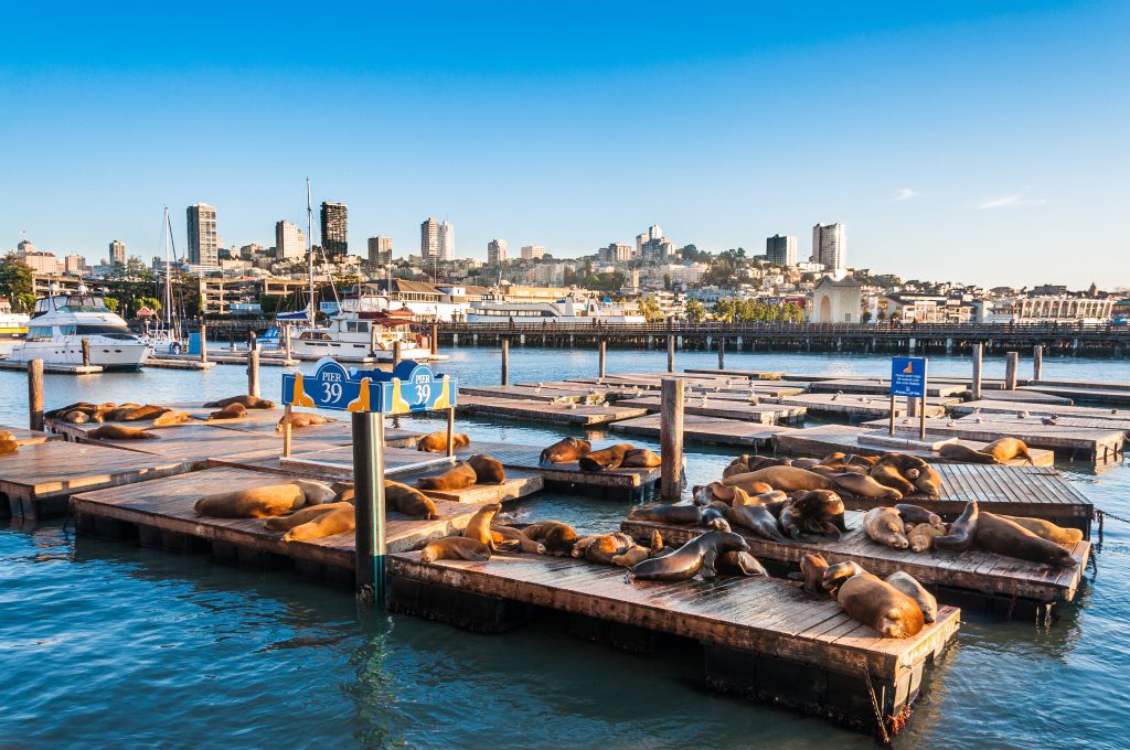 Fisherman’s Wharf & Pier 39, San Francisco