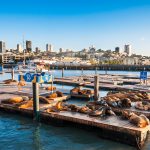 Fisherman’s Wharf & Pier 39, San Francisco