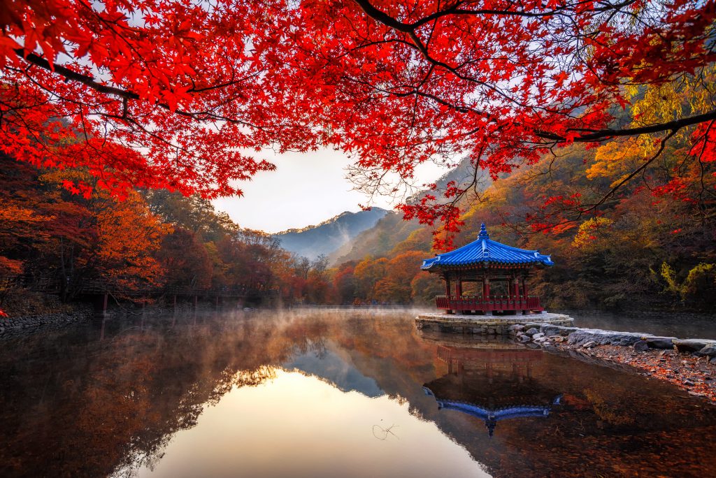 Naejangsan Ulusal Parkı – Güney Kore