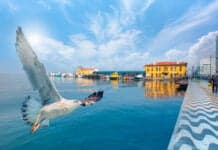 İzmir-Ankara Mavi Treni Hakkında Bilinmesi Gerekenler İzmir Pasaport