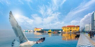 İzmir-Ankara Mavi Treni Hakkında Bilinmesi Gerekenler İzmir Pasaport