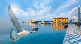 İzmir-Ankara Mavi Treni Hakkında Bilinmesi Gerekenler