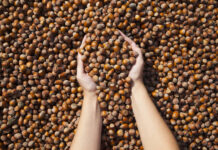 Düzce’de Ne Yenir, Nerede Yenir? Düzce Fındık