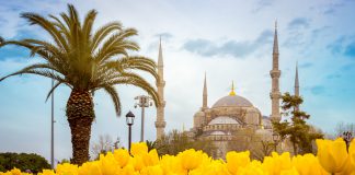 Türkiye’de Kutlanan Bahar Bayramları Türkiye’de Kutlanan Bahar Bayramları