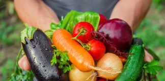 Hangi Sebze Hangi Mevsimde Yenir? Sebzeler