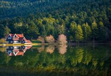 Bolu ve Abant’ta Kiralık Villalar ve Dağ Evleri