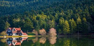 Bolu ve Abant’ta Kiralık Villalar ve Dağ Evleri
