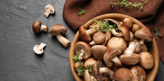 Ülkemizde Yetişen Mantar Çeşitleri Mantarlar