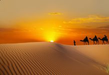 Dünyanın En Etkileyici 10 Çölü Arabistan Çölü