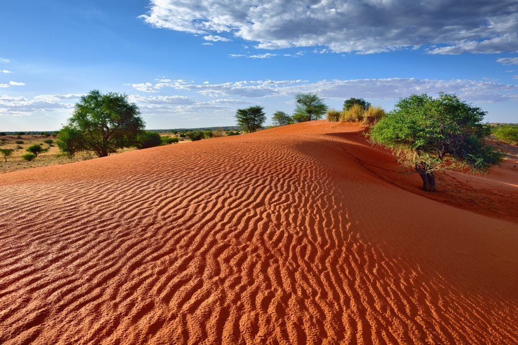 Kalahari Çölü
