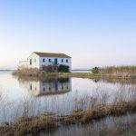 Albufera İspanya