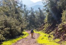 Karya Yolu Yürüyüş Rotası – Karya Yolu Nerede? Karya Yolu