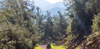 Karya Yolu Yürüyüş Rotası – Karya Yolu Nerede? Karya Yolu