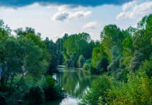 Bartın Kamp Alanları Bartın Nehri