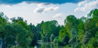 Bartın Kamp Alanları Bartın Nehri