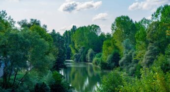 Bartın Kamp Alanları