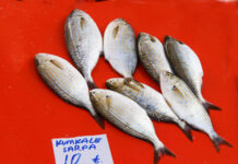 Çanakkale’nin Meşhur Lezzetleri- Çanakkale Yemekleri Kumkale Sarpa