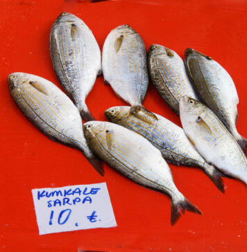 Çanakkale’nin Meşhur Lezzetleri- Çanakkale Yemekleri Kumkale Sarpa