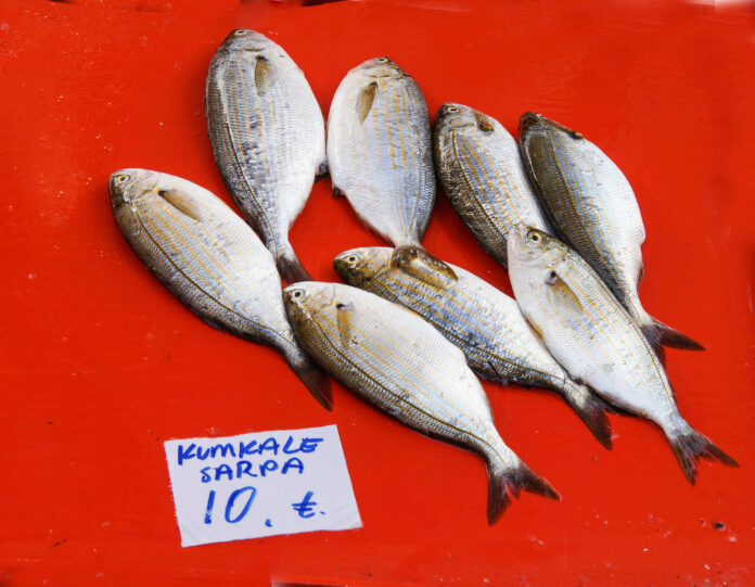 Çanakkale’nin Meşhur Lezzetleri- Çanakkale Yemekleri Kumkale Sarpa