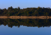Terkos Gölü Nerededir? Terkos Gölü
