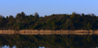 Terkos Gölü Nerededir? Terkos Gölü