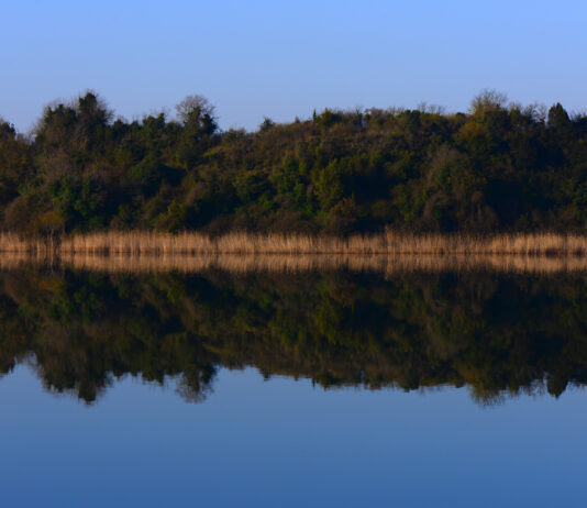 Terkos Gölü Nerededir? Terkos Gölü