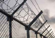 Avrupa’daki Toplama Kampları  Toplama Kampı