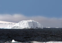 Bouvet Adası Nerededir? Bouvet Adası