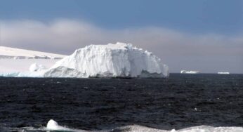 Bouvet Adası Nerededir?