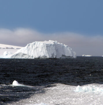 Bouvet Adası Nerededir? Bouvet Adası