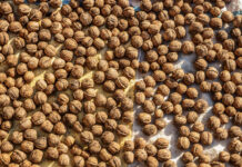 Burdur’un Yöresel Yemekleri Burdur- Ceviz