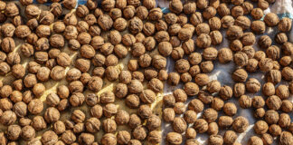 Burdur’un Yöresel Yemekleri Burdur- Ceviz