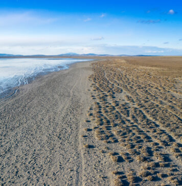 Anadolu’nun Saklı Doğal Hazinesi: Seyfe Gölü ve Kuş Cenneti Seyfe Gölü, Kırşehir