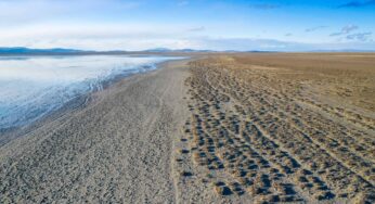 Anadolu’nun Saklı Doğal Hazinesi: Seyfe Gölü ve Kuş Cenneti