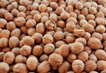 Kırşehir’in Meşhur Yemekleri Kırşehir Ceviz