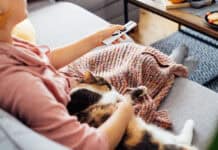 Kış Aylarının Vazgeçilmez Filmleri Kış Filmi