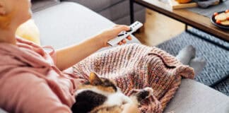 Kış Aylarının Vazgeçilmez Filmleri Kış Filmi