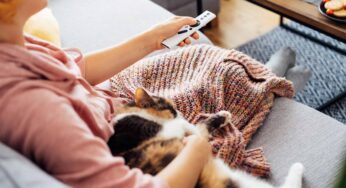 Kış Aylarının Vazgeçilmez Filmleri