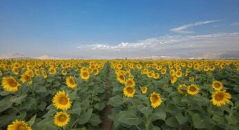 Tekirdağ Nerede, Tekirdağ’a Nasıl Gidilir?